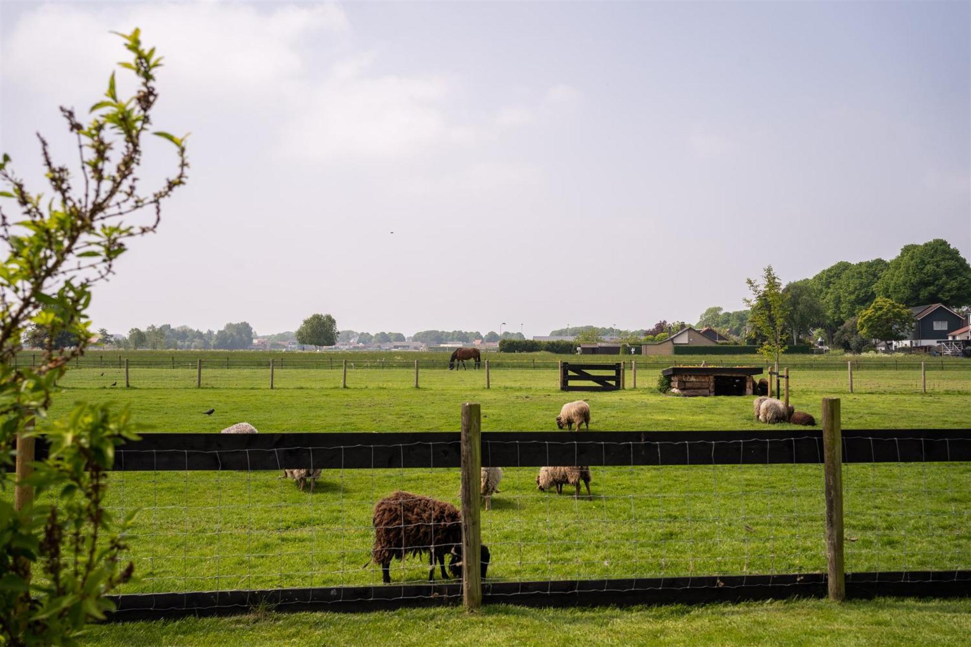 Vakantiewoning Le Garaazje 'S-Gravendeel Exteriör bild