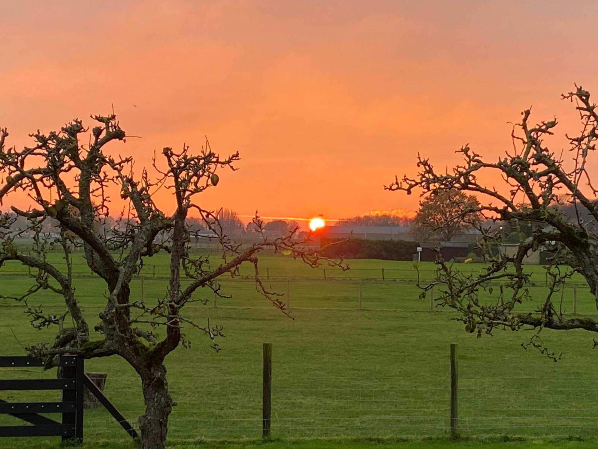 Vakantiewoning Le Garaazje 'S-Gravendeel Exteriör bild