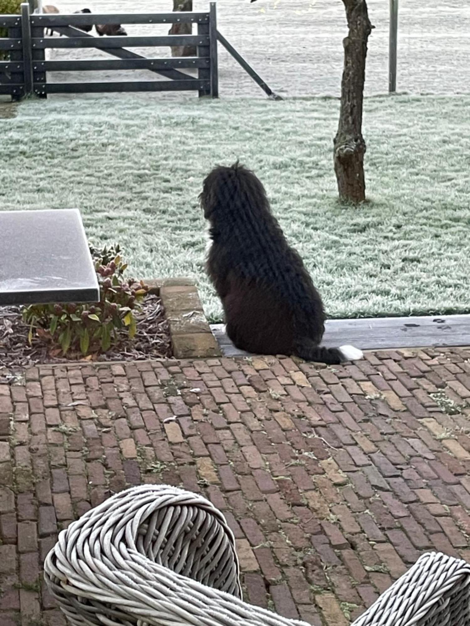 Vakantiewoning Le Garaazje 'S-Gravendeel Exteriör bild