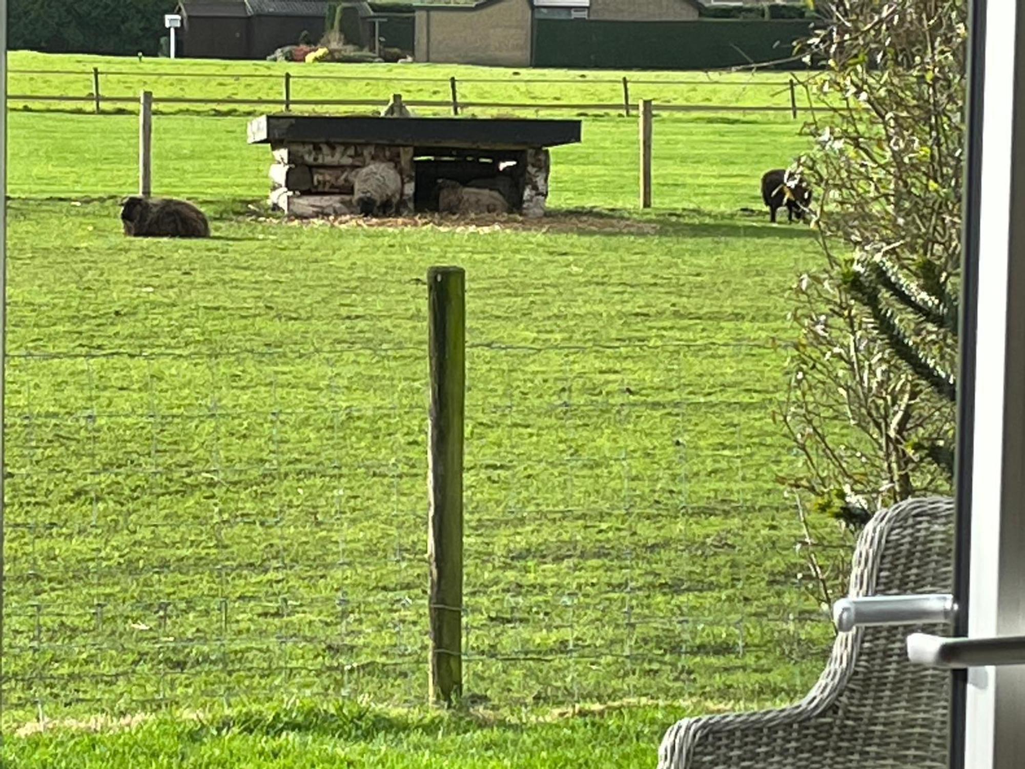 Vakantiewoning Le Garaazje 'S-Gravendeel Exteriör bild
