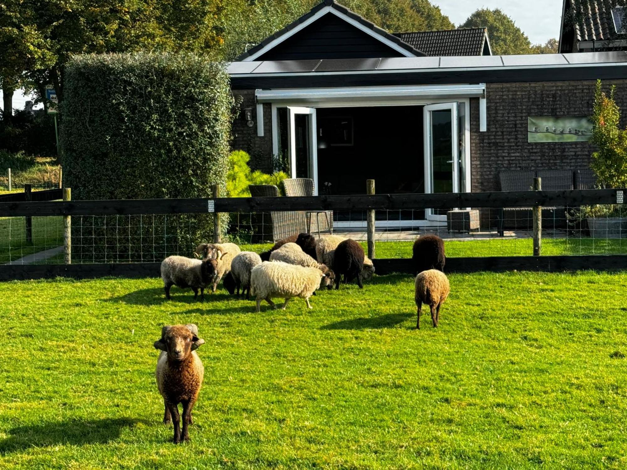 Vakantiewoning Le Garaazje 'S-Gravendeel Exteriör bild