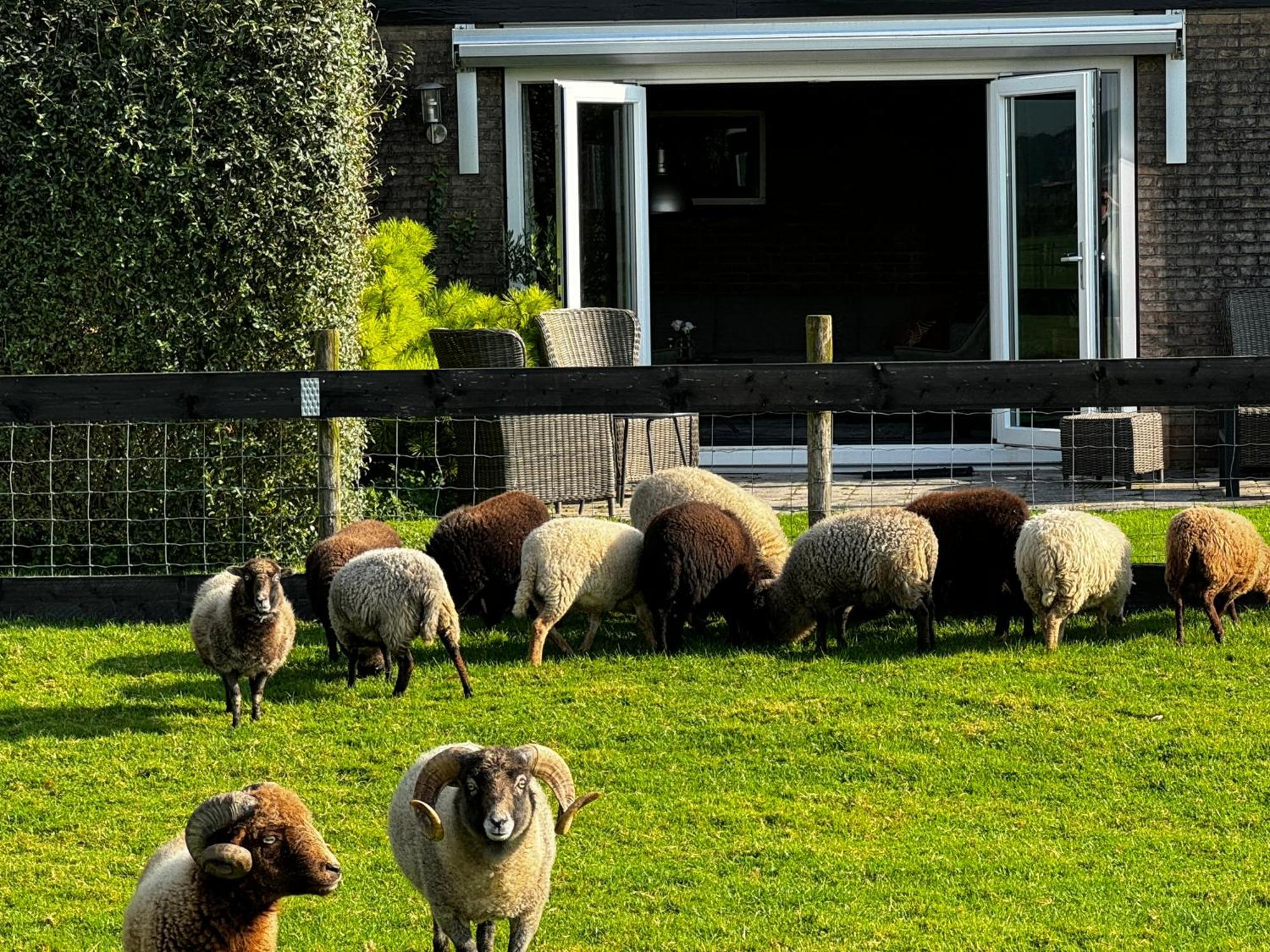 Vakantiewoning Le Garaazje 'S-Gravendeel Exteriör bild