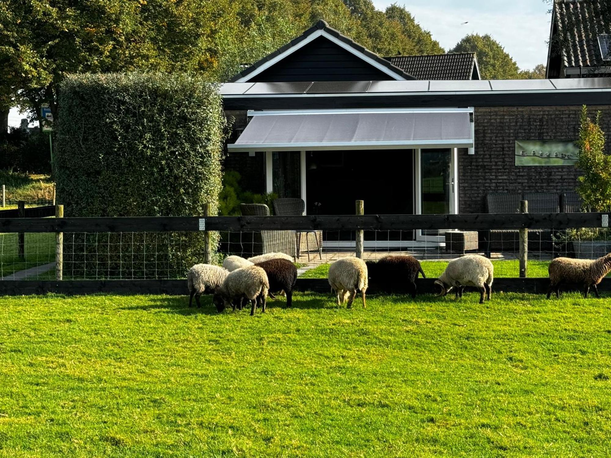 Vakantiewoning Le Garaazje 'S-Gravendeel Exteriör bild