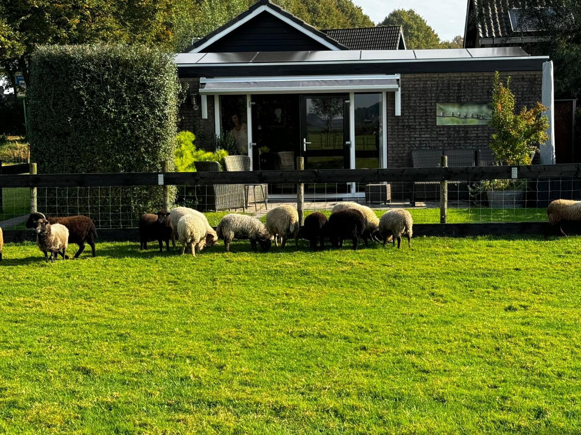 Vakantiewoning Le Garaazje 'S-Gravendeel Exteriör bild